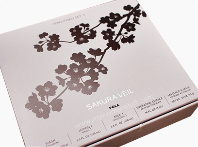 cosmetic-rigid-boxes-with-silver-foil-stamped-logo