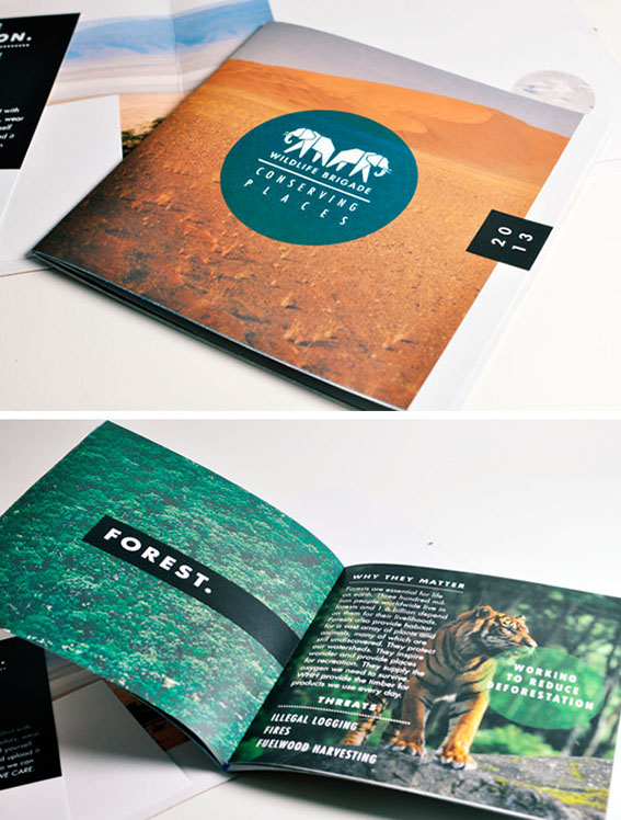 custom-printed-booklets